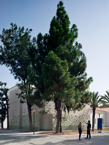 Museo de las Colecciones Naturales de la Universidad de Alicante </br> Museum of natural history collections of the University of Alicante